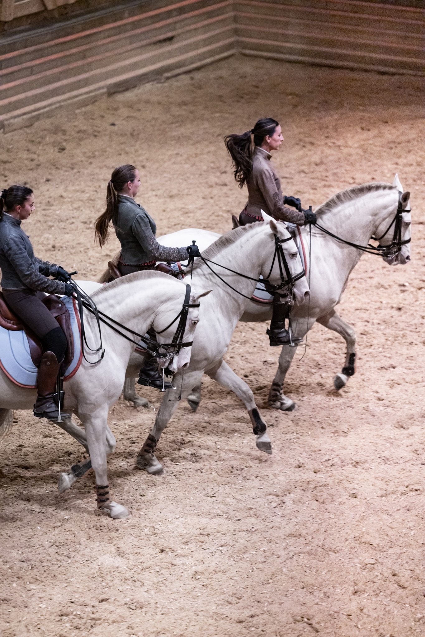 Cavalières lors d’une démonstration équestre